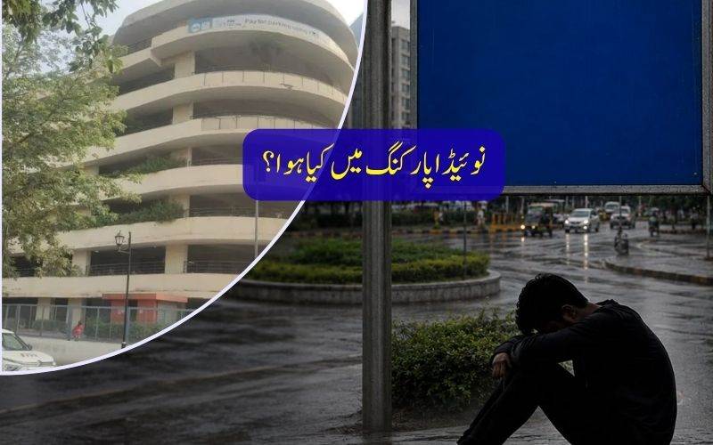نوئیڈا میں خاتون کی خودکشی، پولیس نے تحقیقات شروع کر دیں